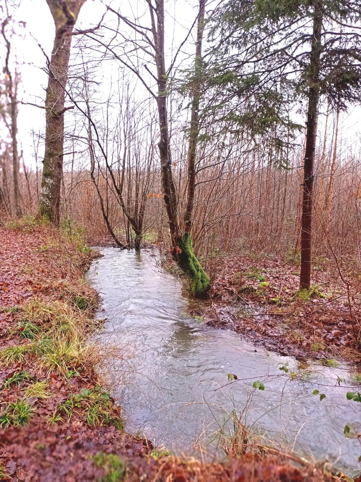 Le Clos Fleuri Sautin Bagian luar foto